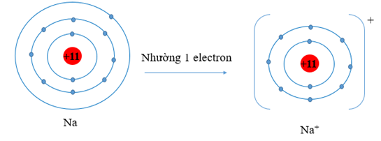 Giải thích vì sao bán kính nguyên tử Na (ảnh 1)