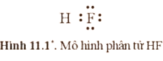 Mỗi nguyên tử trong phân tử HF (ảnh 1)