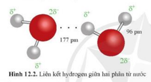 Hai phân tử nước có thể liên kết được với nhau (ảnh 2)