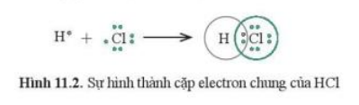 Trong phân tử HCl, lớp electron ngoài cùng (ảnh 1)