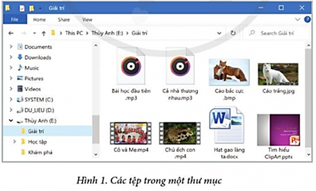Trong máy tính, thư mục giống như hộp chứa, còn các tệp văn bản, hình ảnh, âm thanh và video giống như các đồ vật (ảnh 1)