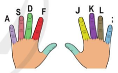 Em hãy đặt hai tay trên hàng phím cơ sở sao cho ngón trỏ trái đặt ở phím F, ngón trở phải đặt ở phím J như Hình 2 (ảnh 1)