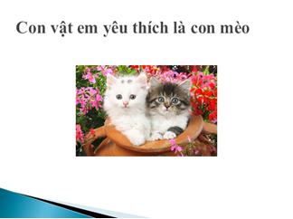 Mỗi nhóm chọn một đề tài ở Bảng 1. Hãy sử dụng máy tính trong một số bước thực hiện đề tài. Các nhóm sẽ trình bày kết quả thực hiện đề tài trước lớp (ảnh 2)