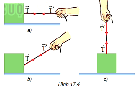 Dựa vào Hình 17.4, hãy thảo luận và phân tích để làm sáng tỏ các ý sau đây: - Những vật nào chịu lực căng của dây? - Lực căng có phương, chiều thế nào? Từ đó, nêu những đặc điểm (về phương, chiều, điểm đặt) của lực căng.   (ảnh 1)