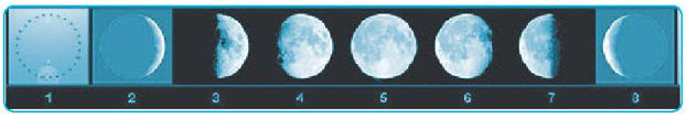 Hình dưới đây ghi lại hình dạng Mặt Trăng quan sát được trong các  (ảnh 2)