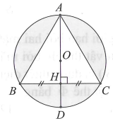 Cho   đều cạnh a và nội tiếp trong đường tròn tâm O, AD là đường kính của đường tròn tâm O. Thể tích của khối tròn xoay sinh ra khi cho phần tô đậm quay quanh đường thẳng AD bằng: (ảnh 1)