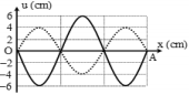 Cho một sợi dây có chiều dài l = 0,45m đang có sóng dừng với hai đầu OA cố định như hình vẽ. Biết đường nét liền là hình ảnh sóng tại t1, đường nét đứt là hình ảnh sóng tại (ảnh 1)