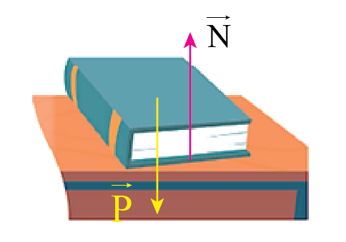 Quan sát quyển sách đang nằm yên trên mặt bàn (Hình 13.5).   a) Có những lực nào tác dụng lên quyển sách? b) Các lực này có cân bằng không? Vì sao? (ảnh 2)