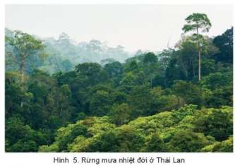 Dựa vào thông tin và hình ảnh trong mục e, hãy:   - Trình bày đặc điểm các đới thiên nhiên ở châu Á. - Nêu vấn đề cần lưu ý trong sử dụng và bảo vệ tự nhiên ở châu Á. (ảnh 1)