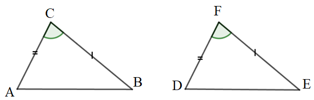 Thêm điều kiện nào để tam giác ABC bằng tam giác DEF theo trường hợp cạnh – góc – cạnh, biết AC = DF, BC = EF (ảnh 1)