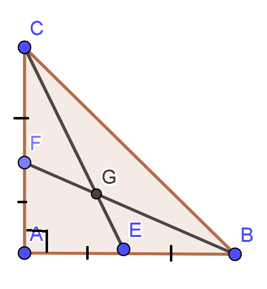 Tam giác ABC vuông tại A có AB = AC = 30cm. Hai đường trung tuyến BF và CE cắt  (ảnh 1)