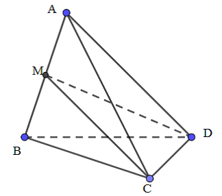 Cho khối tứ diện ABCD, M là trung điểm của AB. Mặt phẳng (MCD) chia khối tứ diện ABCD  (ảnh 1)