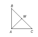 Cho tam giác ABC vuông cân tại A có AB = a. Tính | vecto AB+ vecto AC| (ảnh 1)