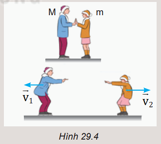 Vận dụng định luật bảo toàn động lượng để giải thích: 1. Tại sao hai người đang đứng yên trên sân băng bị lùi ra xa nhau khi họ dùng tay đẩy vào nhau (Hình 29.4). 2. Tốc độ lùi của mỗi người có khối lượng khác nhau thì khác nhau.   (ảnh 1)