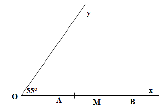 1. Hình nào trong các hình sau có trục đối xứng đồng thời có tâm đối xứng?     2.  a) Vẽ góc xOy có số đo bằng 55°. Góc xOy là góc nhọn, góc vuông hay góc tù?  b) Trên Ox lấy hai điểm A, B sao cho OA = 2 cm, OB = 6 cm. Gọi \(M\) là trung điểm của đoạn thẳng AB. Tính AM. (ảnh 2)