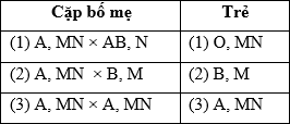 Ở người hệ nhóm máu ABO và hệ nhóm máu MN được qui định bởi các kiểu gen như sau:     Trong nhà hộ sinh người ta nhầm lẫn ba đứa trẻ với ba cặp bố mẹ có các nhóm máu như sau: (ảnh 2)