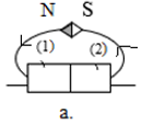 Hãy xác định cực của các nam châm, cho biết sự định hướng của các nam châm thử như hình (ảnh 2)