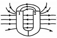 Chiều của đường sức từ của nam châm chữ U được vẽ như sau. Tên các từ cực của nam châm (ảnh 1)