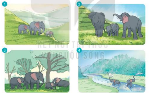 Dựa vào tranh và nội dung bài đọc, kể lại hoạt động thường ngày của loài voi.  (ảnh 1)