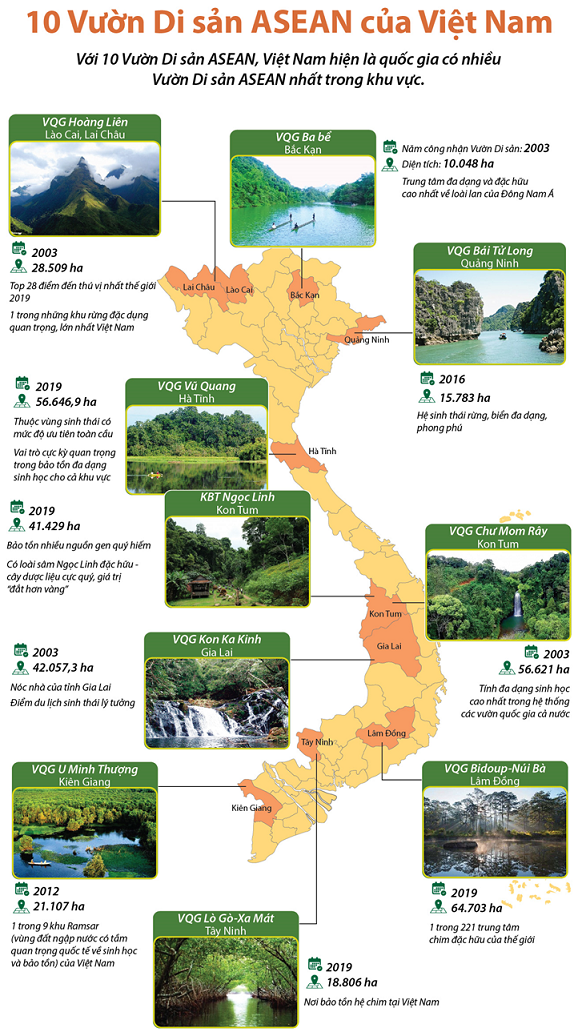 Dưới đây là 10 Vườn Di sản ASEAN của Việt Nam:     (Nguồn: Ban quản lý các vườn Quốc gia; Bộ tài nguyên và môi trường)  Em hãy cho biết Vườn quốc gia Ba Bể - Bắc Kạn được công nhận là Vườn Di Sản năm bao nhiêu? (ảnh 1)