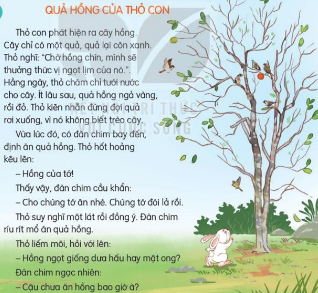 Khi nhìn thấy cây hồng có quả xanh, thỏ đã nghĩ gì và làm gì? (ảnh 1)