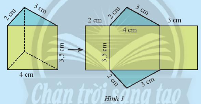Hãy quan sát lăng trụ đứng tam giác (Hình 1) và thực hiện các yêu cầu sau: (ảnh 1)