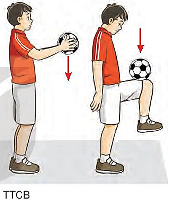 Em hãy sử dụng bài tập tâng bóng bằng đùi để tập thể dục buổi sáng và vui chơi. (ảnh 1)