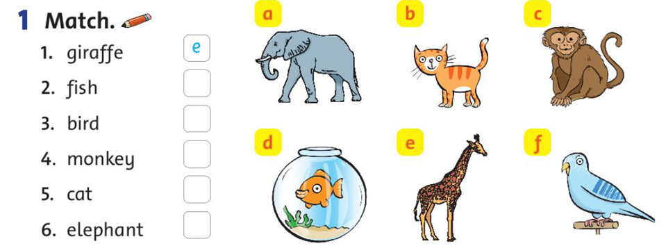 Match (Nối) 1. giraffe 2. fish 3. bird 4. monkey (ảnh 1)