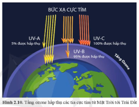 - Quan sát hình 2.10 và mô tả khả năng hấp thụ của các bức xạ cực tím UV-A, UV-B, UV-C của tầng ozone.  - “Lỗ thủng” ozone được hiểu như thế nào? Suy giảm tầng ozone là gì? (ảnh 1)