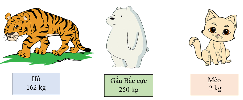 Sắp xếp các con vật sau có cân nặng theo thứ tự từ bé đến lớnMèo 2 kgMèo 2 kgGấu Bắc cực 250 kgGấu Bắc cực 250 kgHổ 162 kgHổ 162 kg (ảnh 1)