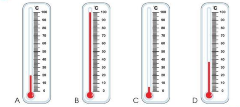 Sắp xếp các nhiệt kế theo thứ tự từ bé đến lớn. (ảnh 1)