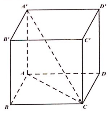 Cho hình lăng trụ tứ giác đều ABCD.A'B'C'D' , có cạnh đáy bằng a .  (ảnh 1)