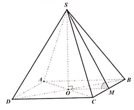 Cho hình chóp đều S.ABCD có đáy ABCD là hình vuông. Độ dài SB = a căn bậc hai 5 /2 (ảnh 1)