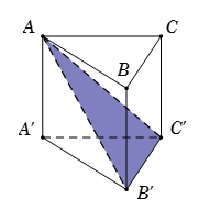 Mặt phẳng (AB'C') chia khối lăng trụ ABC.A'B'C' thành các khối đa diện nào ?  (ảnh 1)