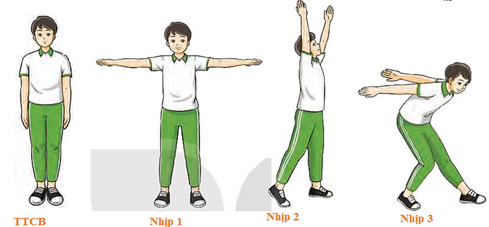 Em hãy sử dụng bài tập thể dục liên hoàn từ nhịp 1 – 10 để tập thể dục  (ảnh 1)