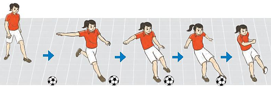 Em hãy luyện tập đá bóng bằng mu trong bàn chân trúng vật chuẩn từ khoảng  (ảnh 1)