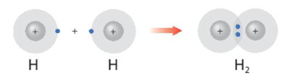 Hình 8.1 giải thích sự hình thành phân tử hydrogen (H2) và fluorine  (ảnh 1)