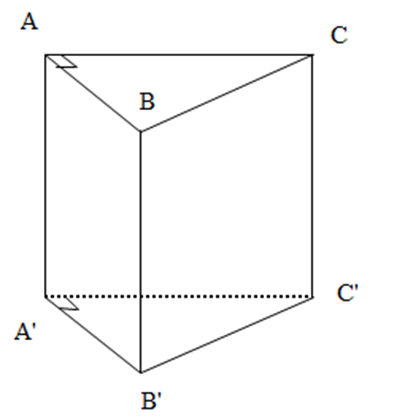 Khối lăng trụ đứng ABC.A'B'C' có đáy ABC là tam giác vuông cân tại A. Biết diện tích mặt  (ảnh 1)