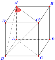 Cho hình lập phương ABCD.A'B'C'D' (tham khảo hình vẽ). Góc giữa hai đường thẳng AC và A'D bằng (ảnh 1)