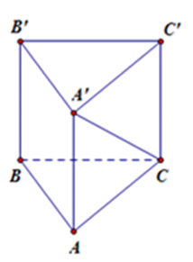 Cho hình lăng trụ đứng tam giác ABC.A'B'C' có đáy là tam giác vuông cân tại A cạnh AB (ảnh 1)