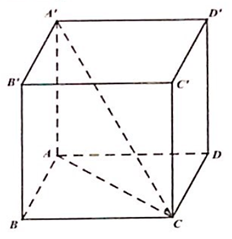 Cho hình lăng trụ tứ giác đều ABCD.A'B'C'D' , có cạnh đáy bằng a . Góc giữa A'C (ảnh 1)