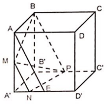 Cho hình lập phương ABCD.A'B'C'D' cạnh a . Gọi M, P lần lượt là trung điểm của AA' và B'C'. N là điểm thuộc cạnh A'D' (ảnh 1)
