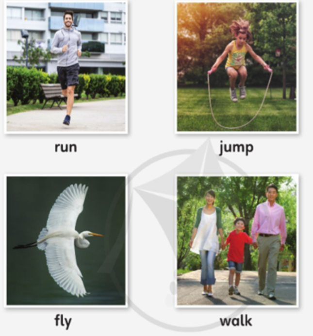 Point and say. (Chỉ vào tranh và nói) run jump fly walk  (ảnh 1)