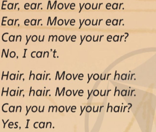 Listen and chant. (Nghe và nói lại) Ear, ear. Move your ear. (ảnh 1)