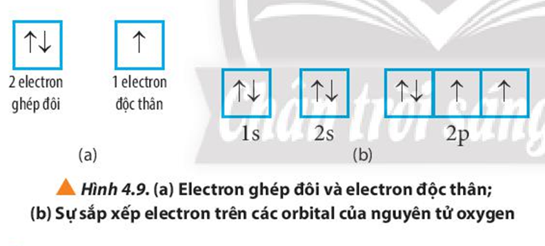 Quan sát Hình 4.9, hãy cho biết nguyên tử oxygen có bao nhiêu electron ghép đôi vào  (ảnh 1)