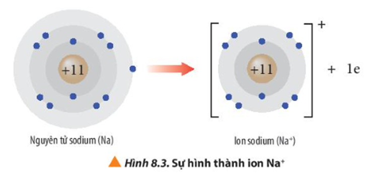 Ion sodium và ion fluoride có cấu hình electron của các khi hiếm tương ứng nào? (ảnh 1)