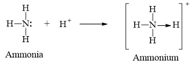 Trình bày liên kết cho - nhận trong ion NH4+. (ảnh 1)