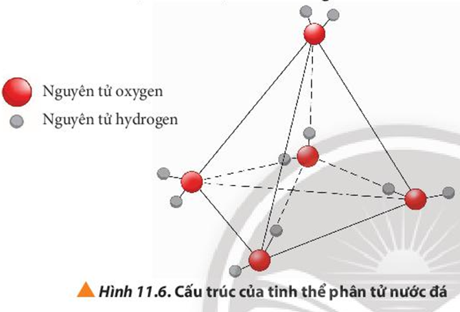 Vì sao nên tránh ướp lạnh các lon bia, nước giải khát,… trong ngăn đá của tủ lạnh? (ảnh 1)