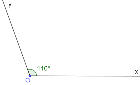 a) Vẽ góc xOy có số đo 110 độ. b) Vẽ tia phân giác của góc xOy (ảnh 1)