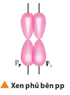Sự xen phủ giữa hai orbital p trong trường hợp nào sẽ tạo thành liên kết sigma (ảnh 3)